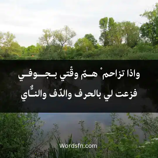 واذا تزاحم ْ هـمّ وقْتي بـجــوفـي *** فزعت لي بالحرف والدّف والنـٌّاي