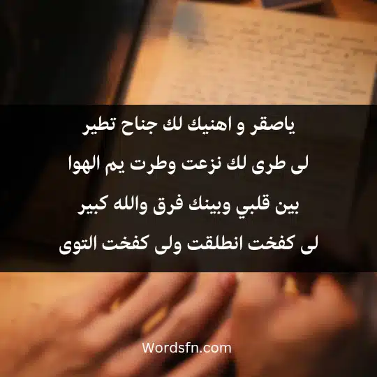 ياصقر و اهنيك لك جناح تطيرلى طرى لك نزعت وطرت يم الهوا بين قلبي وبينك فرق والله كبير لى كفخت انطلقت ولى كفخت التوى