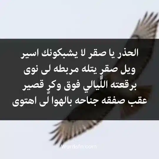 الحذر يا صقر لا يشبكونك اسيرويل صقرٍ يتله مربطه لى نوى برقعته اللّيالي فوق وكرٍ قصير عقب صفقه جناحه بالهوا لى اهتوى