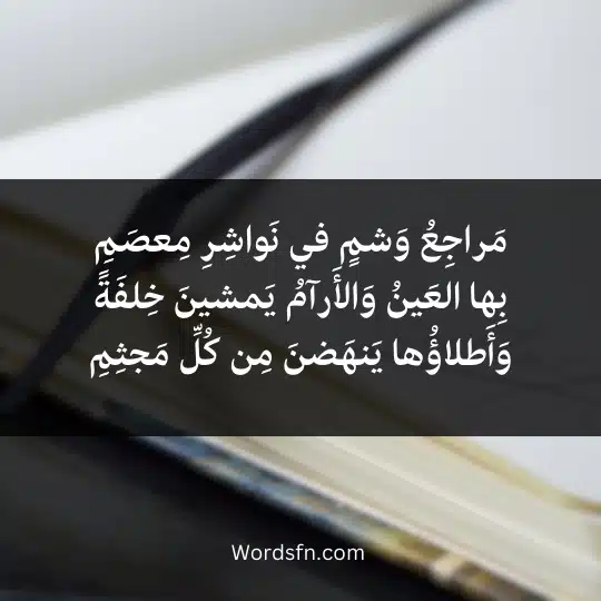 مَراجِعُ وَشمٍ في نَواشِرِ مِعصَمِبِها العَينُ وَالأَرآمُ يَمشينَ خِلفَةً وَأَطلاؤُها يَنهَضنَ مِن كُلِّ مَجثِمِ