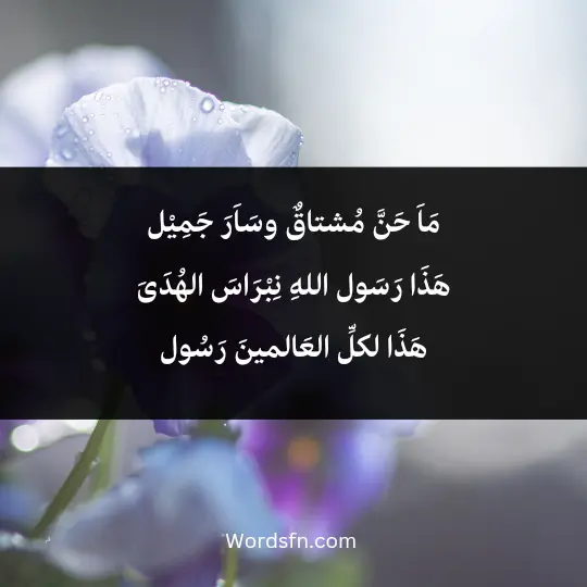 Poems praising the Prophet 1 - فن العبارات مَاَ حَنَّ مُشتاقٌ وسَاَرَ جَمِيْل هَذَا رَسَول اللهِ نِبْرَاسَ الهُدَىَ هَذَا لكلِّ العَالمينَ رَسُول