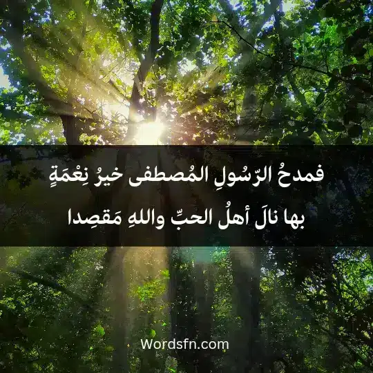 Poems praising the Prophet 3 - فن العبارات فمدحُ الرّسُولِ المُصطفى خيرُ نِعْمَةٍ بها نالَ أهلُ الحبِّ واللهِ مَقصِدا