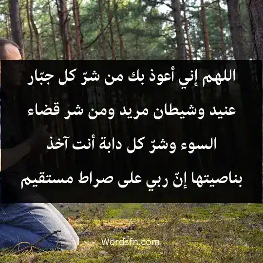 Remembrance after the Fajr prayer2 - فن العبارات اللهم إني أعوذ بك من شرّ كل جبّار عنيد، وشيطان مريد، ومن شر قضاء السوء، وشرّ كل دابة أنت آخذ بناصيتها إنّ ربي على صراط مستقيم.