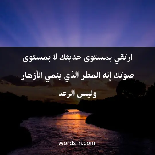 Sayings and the rule of Jalal al-Din Rumi 1 - فن العبارات ارتقي بمستوى حديثك لا بمستوى صوتك.. إنه المطر الذي ينمي الأزهار وليس الرعد