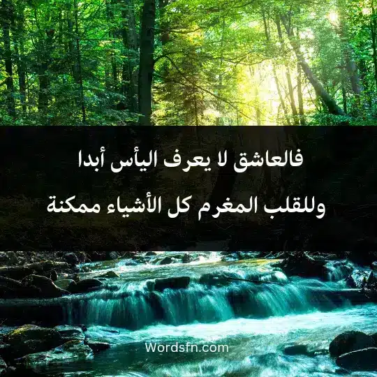 Sayings and the rule of Jalal al-Din Rumi 2 - فن العبارات فالعاشق لا يعرف اليأس أبدا .. وللقلب المغرم كل الأشياء ممكنة