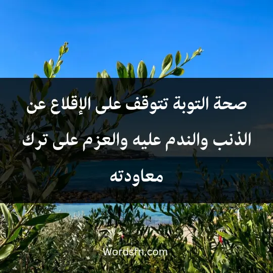 صحة التوبة تتوقف على الإقلاع عن الذنب والندم عليه والعزم على ترك معاودته