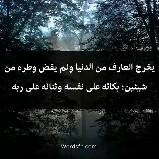 يخرج العارف من الدنيا ولم يقض وطره من شيئين: بكائه على نفسه، وثنائه على ربه