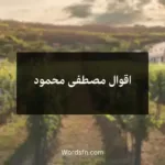 اقوال مصطفى محمود