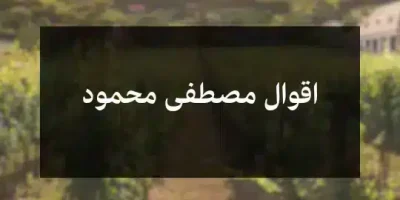 اقوال مصطفى محمود