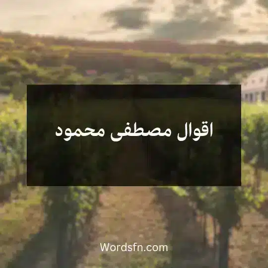اقوال مصطفى محمود