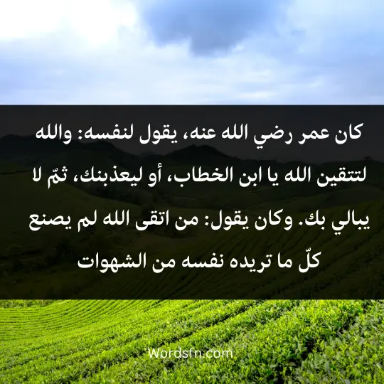 كان عمر رضي الله عنه، يقول لنفسه: والله لتتقين الله يا ابن الخطاب، أو ليعذبنك، ثمّ لا يبالي بك. وكان يقول: من اتقى الله لم يصنع كلّ ما تريده نفسه من الشهوات