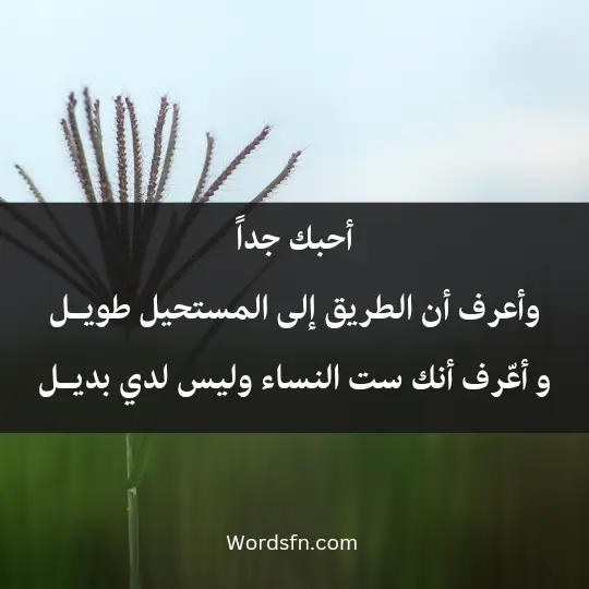 أحبك جداً وأعرف أن الطريق إلى المستحيل طويـل و أعّرف أنك ست النساء وليس لدي بديـل