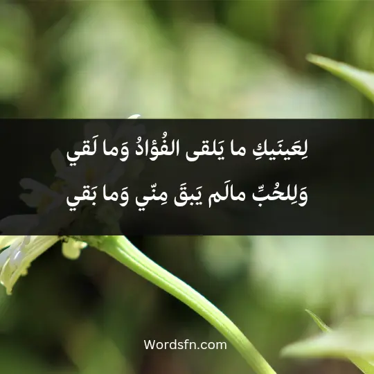لِعَينَيكِ ما يَلقى الفُؤادُ وَما لَقي وَلِلحُبِّ مالَم يَبقَ مِنّي وَما بَقي