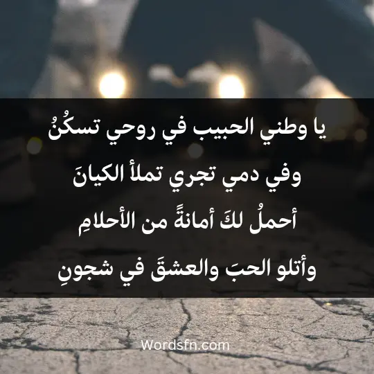 يا وطني الحبيب، في روحي تسكُنُ، وفي دمي تجري، تملأ الكيانَ. أحملُ لكَ أمانةً من الأحلامِ، وأتلو الحبَ والعشقَ في شجونِ