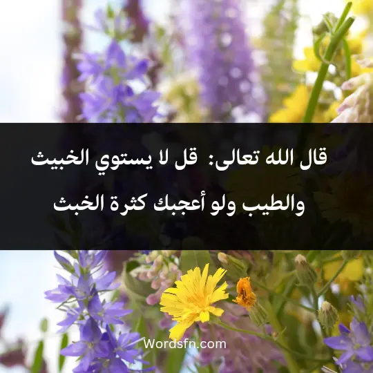 Talk about a good heart2 - فن العبارات قال الله تعالى: [ قل لا يستوي الخبيث والطيب ولو أعجبك كثرة الخبث