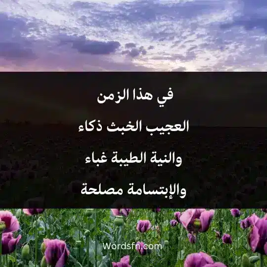 Talk about a good heart3 - فن العبارات في هذا الزمن العجيب الخبث ذكاء والنية الطيبة غباء والإبتسامة مصلحة