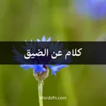 كلام عن الضيق