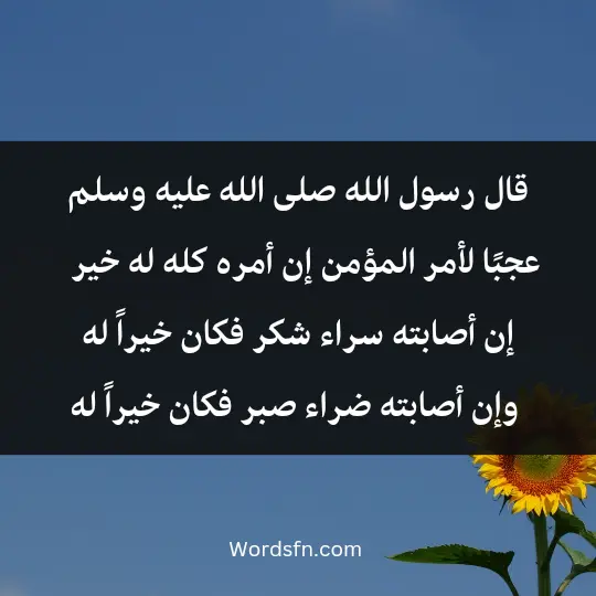 وقال الرسول محمد صلى الله عليه وسلم: "عجبًا لأمر المؤمن؛ إن أمره كله له خير، وليس ذلك لأحد إلا للمؤمن؛ إن أصابته سراء شكر فكان خيراً له، وإن أصابته ضراء صبر فكان خيراً له