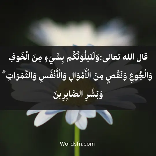 قال الله في كتابه الكريم: "وَلَنَبْلُوَنَّكُم بِشَيْءٍ مِنَ الْخَوفِ وَالْجُوعِ وَنَقْصٍ مِنَ الْأَمْوَالِ وَالْأَنْفُسِ وَالثَّمَرَاتِ ۗ وَبَشِّرِ الصَّابِرِينَ