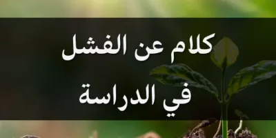 كلام عن الفشل في الدراسة