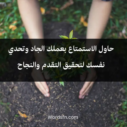 حاول الاستمتاع بعملك الجاد وتحدي نفسك لتحقيق التقدم والنجاح