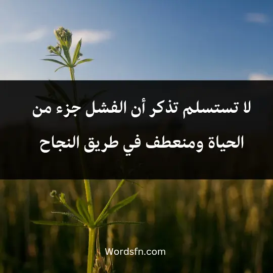 تستسلم: تذكر أن الفشل جزء من الحياة ومنعطف في طريق النجاح