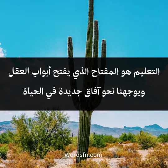 التعليم هو المفتاح الذي يفتح أبواب العقل ويوجهنا نحو آفاق جديدة في الحياة