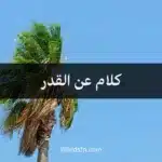 كلام عن القدر