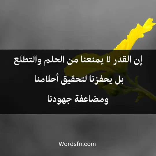 إن القدر لا يمنعنا من الحلم والتطلع، بل يحفزنا لتحقيق أحلامنا ومضاعفة جهودنا