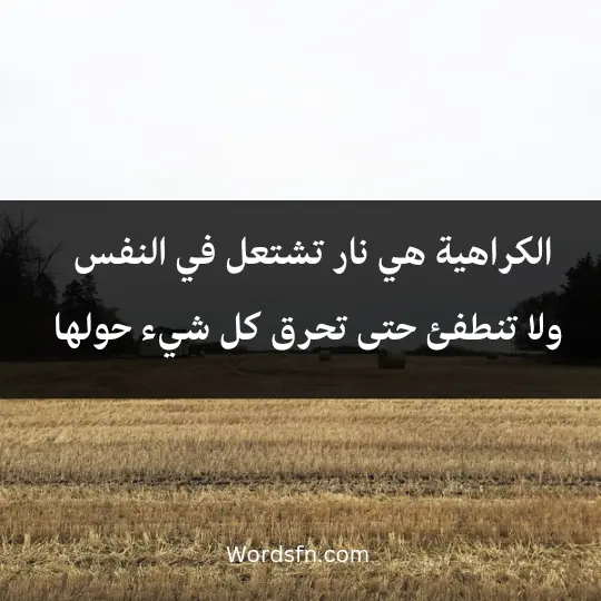 الكراهية هي نار تشتعل في النفس، ولا تنطفئ حتى تحرق كل شيء حولها