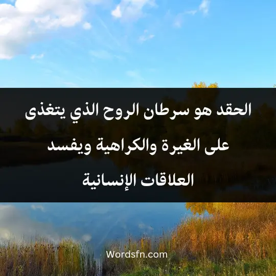 الحقد هو سرطان الروح الذي يتغذى على الغيرة والكراهية ويفسد العلاقات الإنسانية