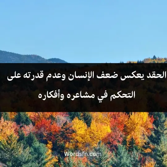 الحقد يعكس ضعف الإنسان وعدم قدرته على التحكم في مشاعره وأفكاره