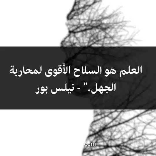 العلم هو السلاح الأقوى لمحاربة الجهل." - نيلس بور