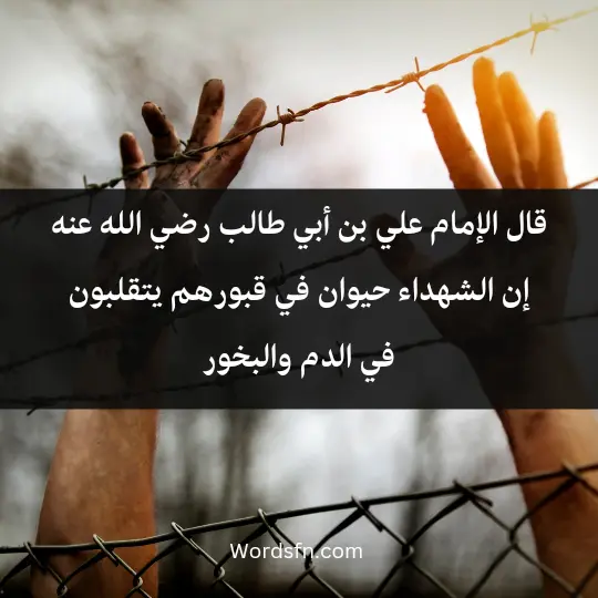 قال الإمام علي بن أبي طالب رضي الله عنه: "إن الشهداء حيوان في قبورهم يتقلبون في الدم والبخور