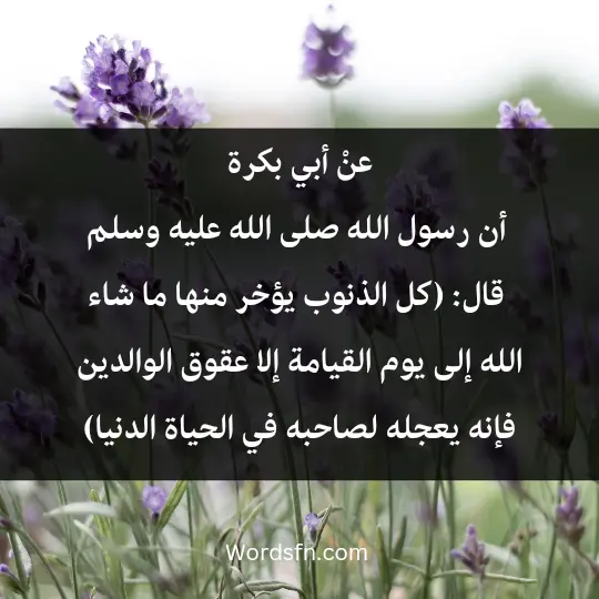 Talk about parents rights 1 - فن العبارات عنْ أبي بكرة، أن رسول الله صلى الله عليه وسلم، قال: (كل الذنوب يؤخر منها ما شاء الله إلى يوم القيامة إلا عقوق الوالدين، فإنه يعجله لصاحبه في الحياة الدنيا)