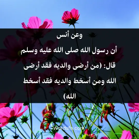 Talk about parents rights 2 - فن العبارات وعن أنس أن رسول الله صلى الله عليه وسلم، قال: (من أرضى والديه فقد أرضى الله، ومن أسخط والديه فقد أسخط الله)