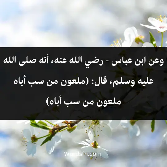 Talk about parents rights 3 - فن العبارات وعن ابن عباس - رضي الله عنه، أنه صلى الله عليه وسلم، قال: (ملعون من سب أباه، ملعون من سب أباه)