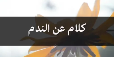 كلام عن الندم