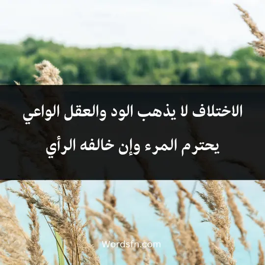 Talk about respect2 - فن العبارات الاختلاف لا يذهب الود والعقل الواعي يحترم المرء وإن خالقه الرأي