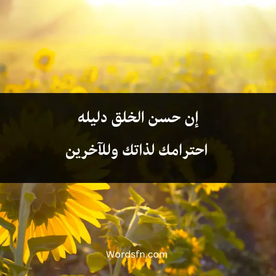 Talk about respect3 - فن العبارات إن حسن الخلق دليله احترامك لذاتك للآخرين