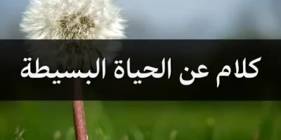 كلام عن الحياة البسيطة