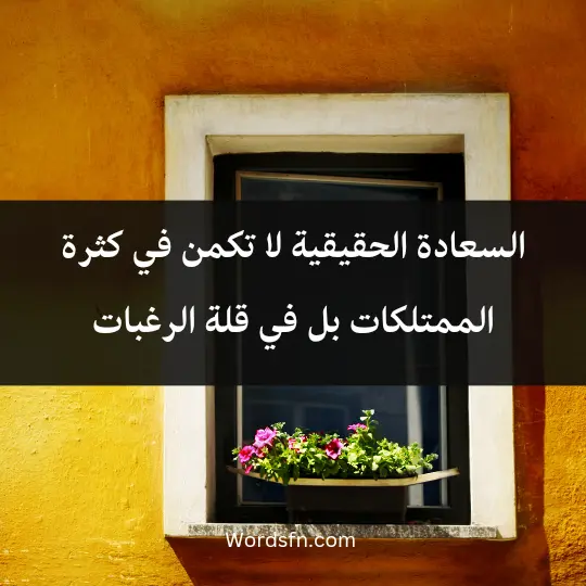 Talk about simple life 2 - فن العبارات السعادة الحقيقية لا تكمن في كثرة الممتلكات، بل في قلة الرغبات. - غاندي