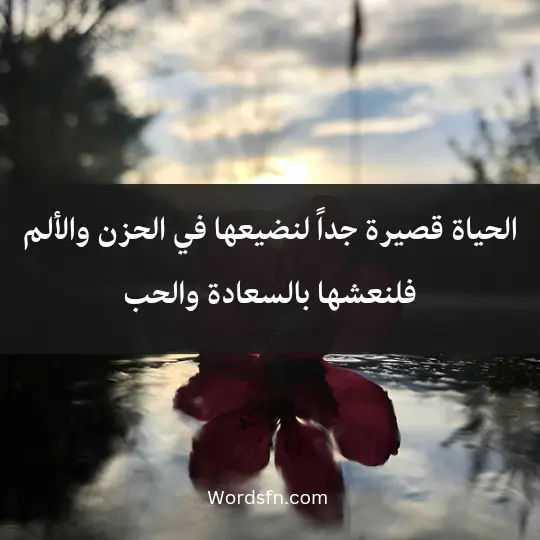 Talk about simple life 3 - فن العبارات الحياة قصيرة جداً لنضيعها في الحزن والألم، فلنعشها بالسعادة والحب