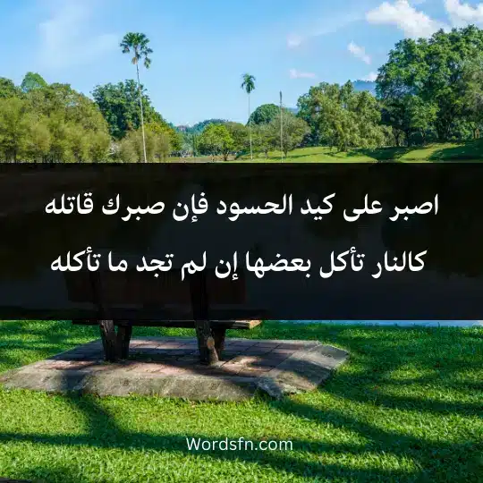 اصبر على كيد الحسود فإن صبرك قاتله، كالنار تأكل بعضها إن لم تجد ما تأكله