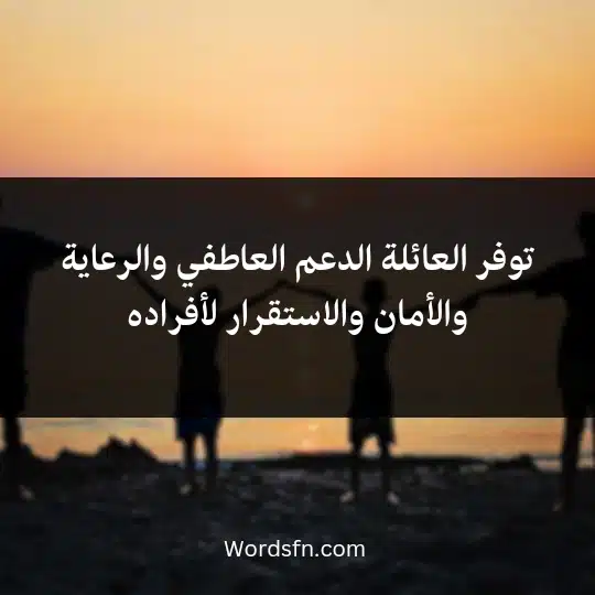 توفر العائلة الدعم العاطفي والرعاية والأمان والاستقرار لأفراده