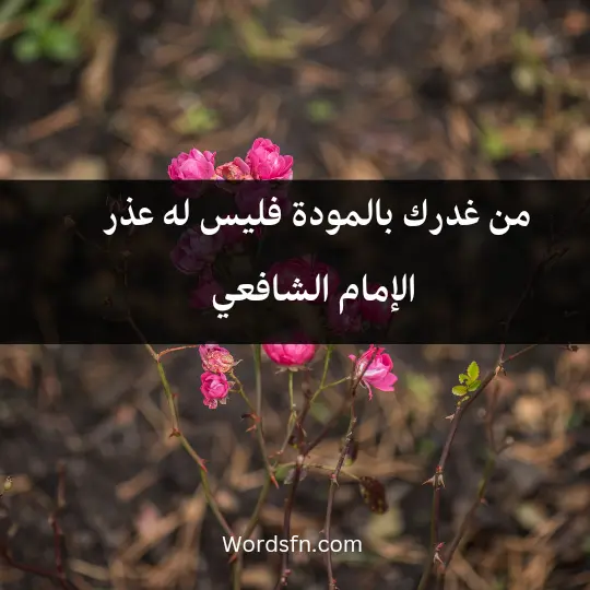 Talk about the treachery of relatives1 - فن العبارات من غدرك بالمودة فليس له عذر- الإمام الشافعي