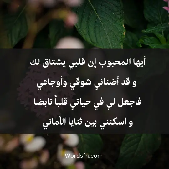 The most beautiful spinning poems1 - فن العبارات أيها المحبوب، إن قلبي يشتاق لك و قد أضناني شوقي وأوجاعي فاجعل لي في حياتي قلباً نابضاً و اسكنني بين ثنايا الأماني