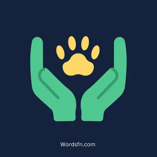 The story of Nora and the dog 2 - فن العبارات الرفق بالحيوان