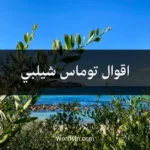 اقوال توماس شيلبي