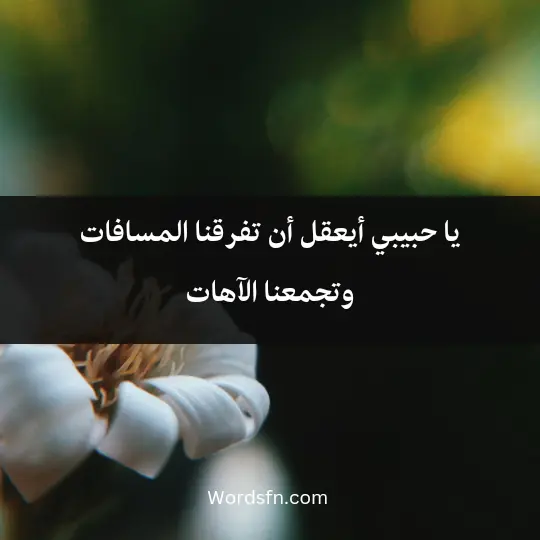 يا حبيبي أيعقل أن تفرقنا المسافات وتجمعنا الآهات